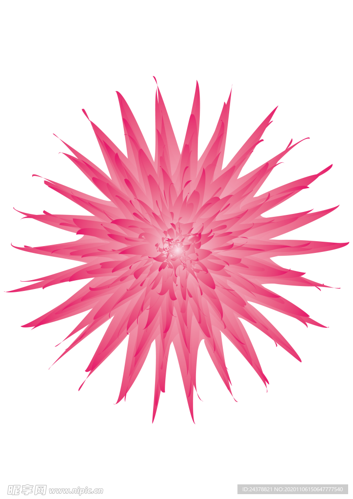 粉色渐变菊花花朵免扣背景底纹