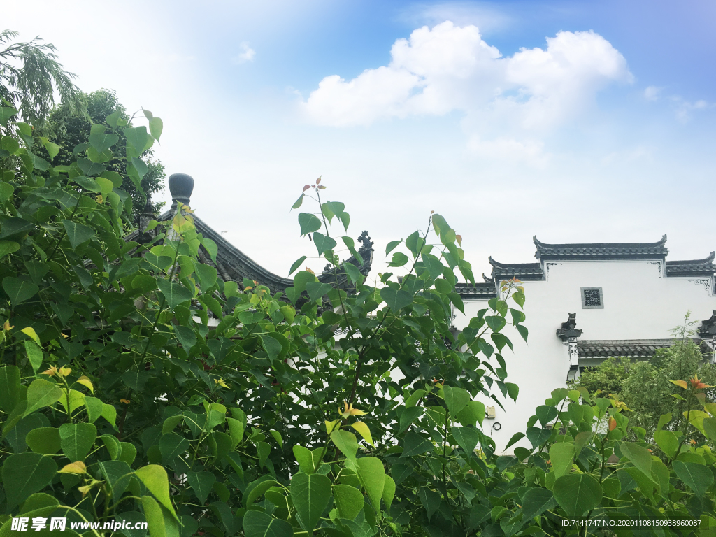 婺源旅游  徽派建筑