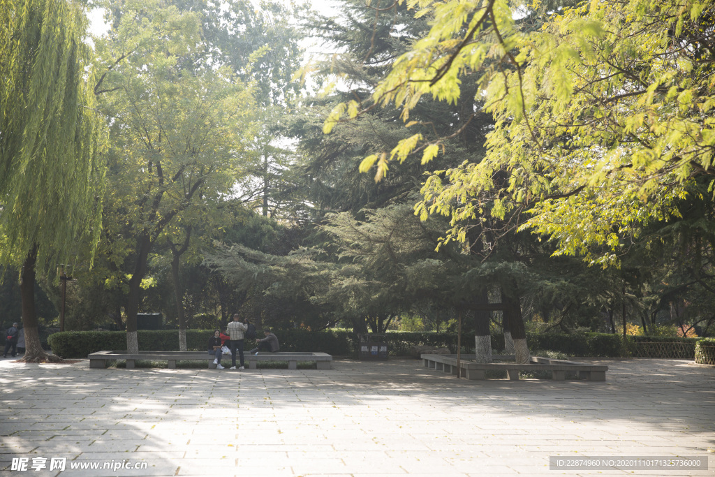 湖畔 风景 名胜 公园 大明湖