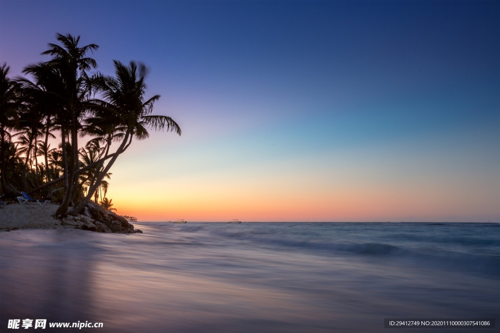 海滩棕榈椰树风景