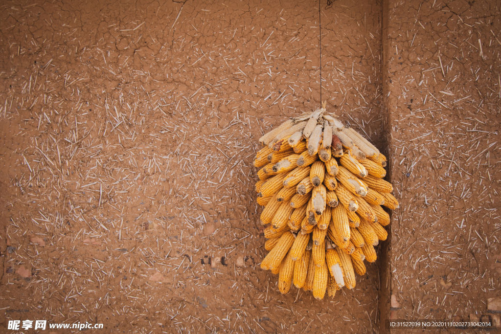 老房子土胚房玉米摄影图