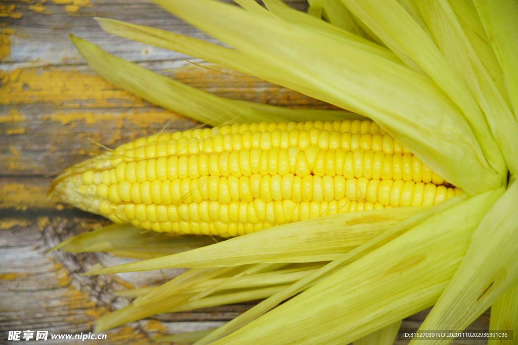 带皮玉米摄影图