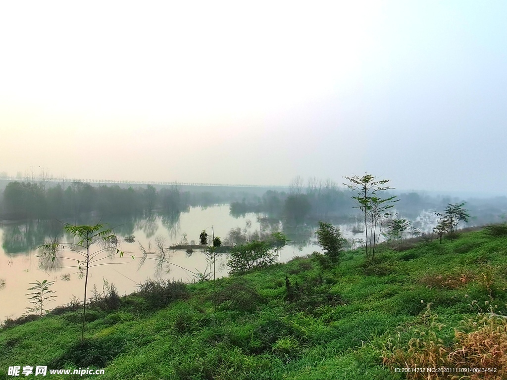 清晨里的河道风景