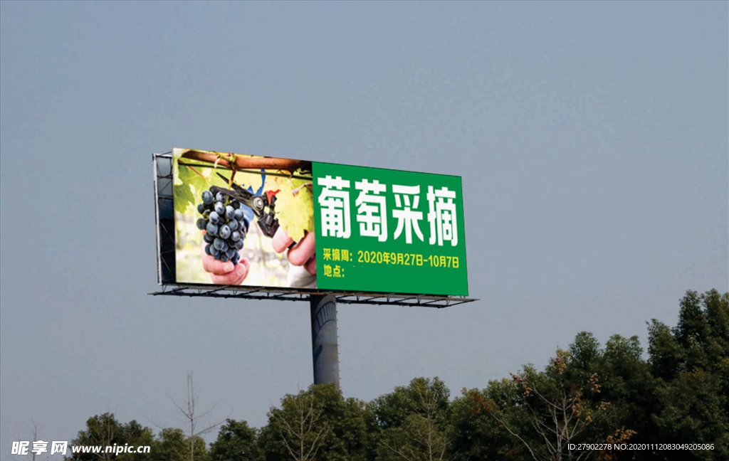葡萄采摘海报