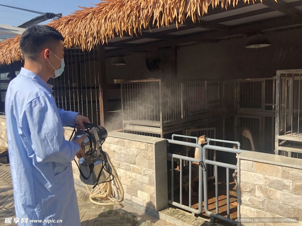 家禽家畜除臭消毒