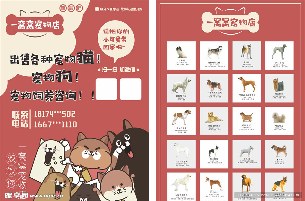 宠物海报