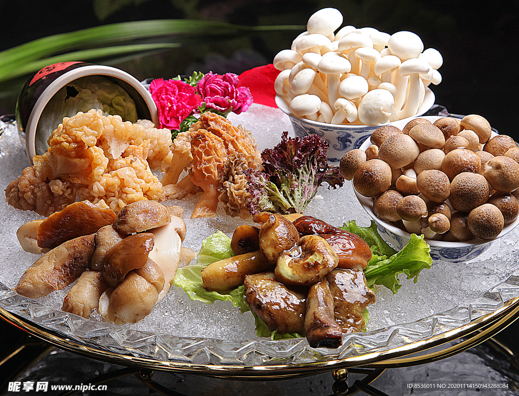 豫菜野生菌菇拼