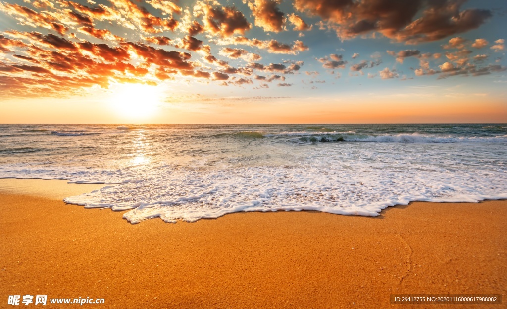 海滩棕榈椰树风景