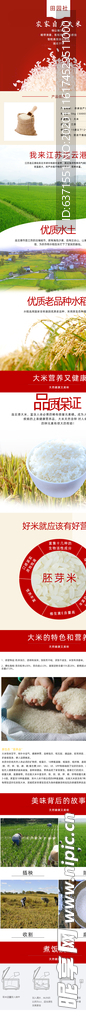 大米详情页