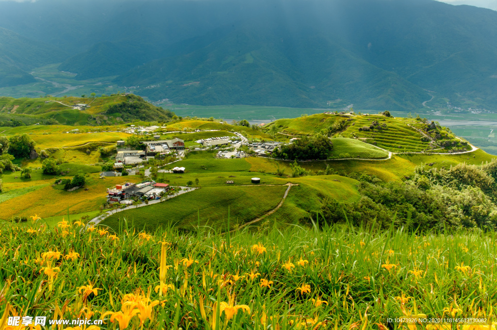 碧草青山风景图片