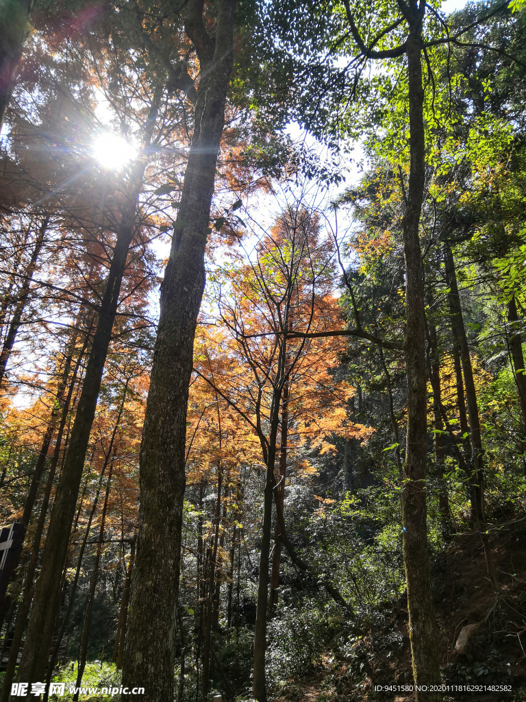 张家界森林公园