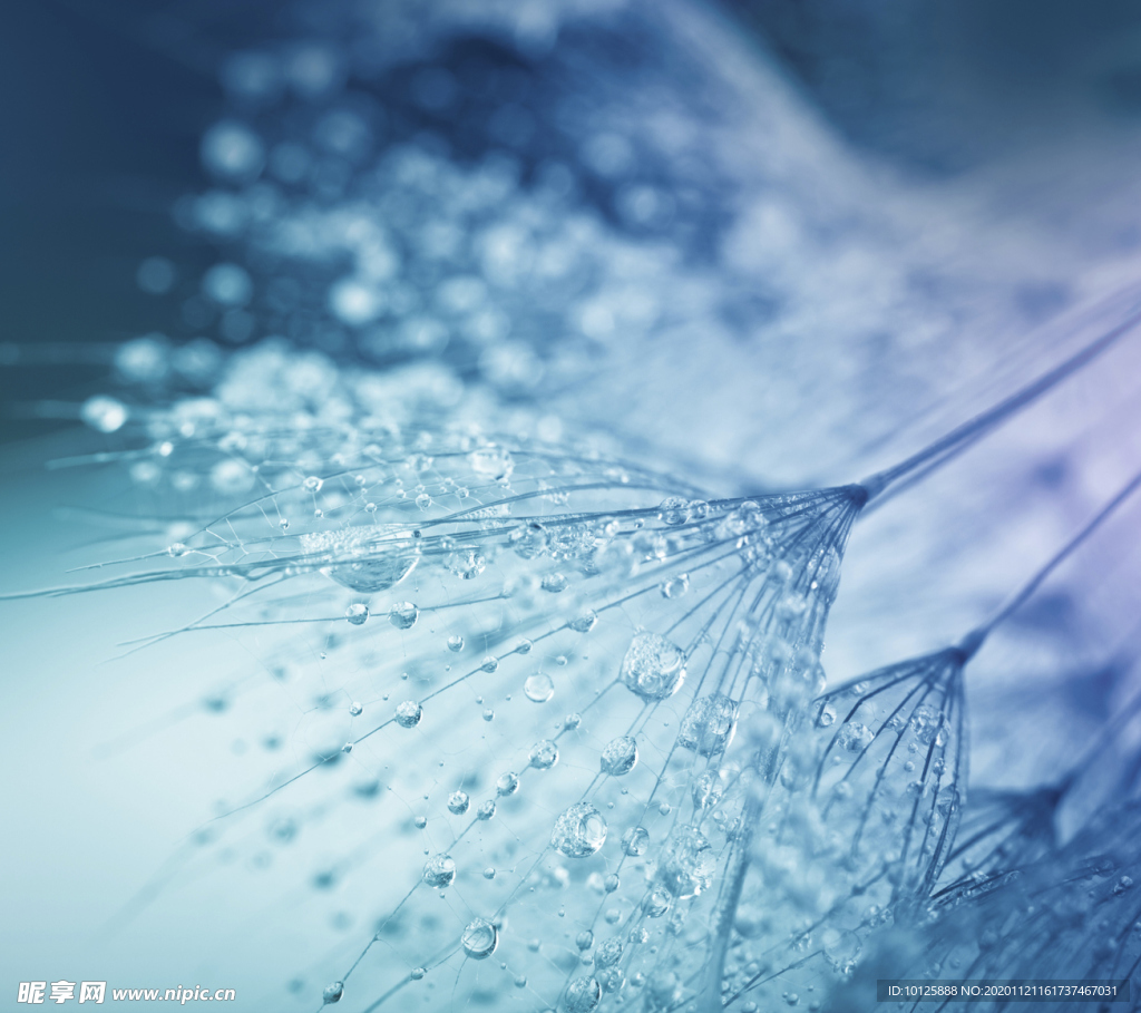 墙纸 壁纸 墙壁