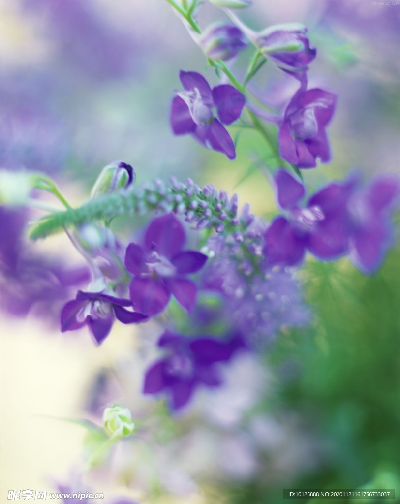 墙纸 壁纸 墙壁