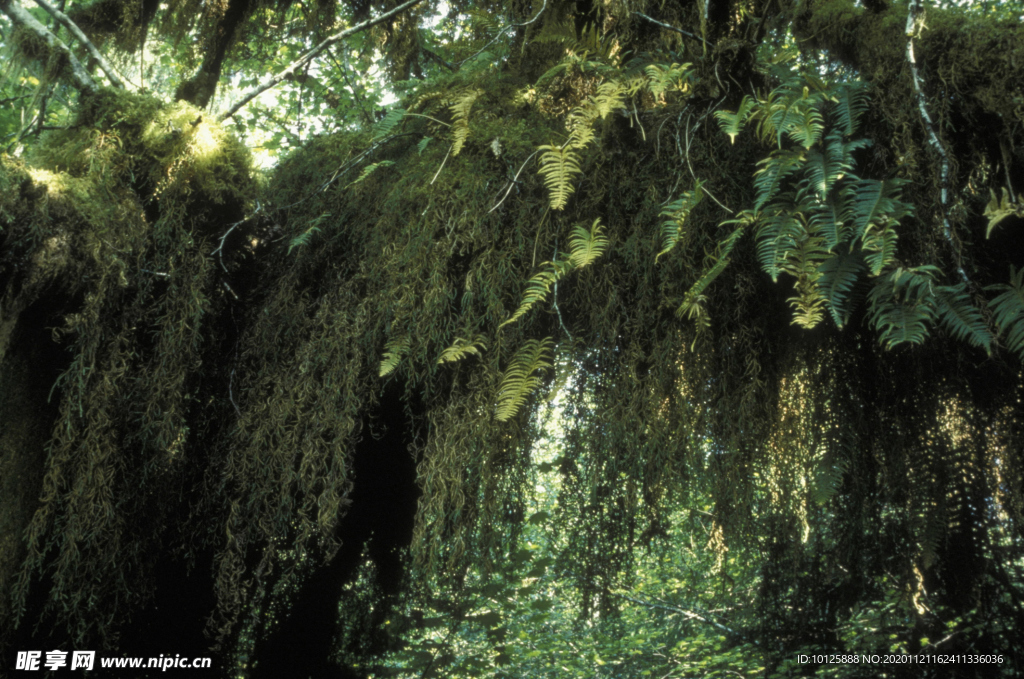 墙纸 壁纸 墙壁