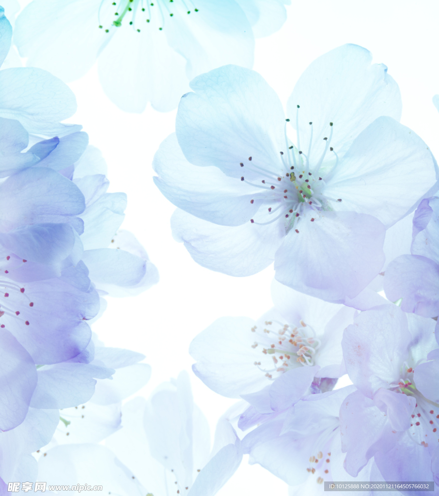 墙纸 壁纸 墙壁