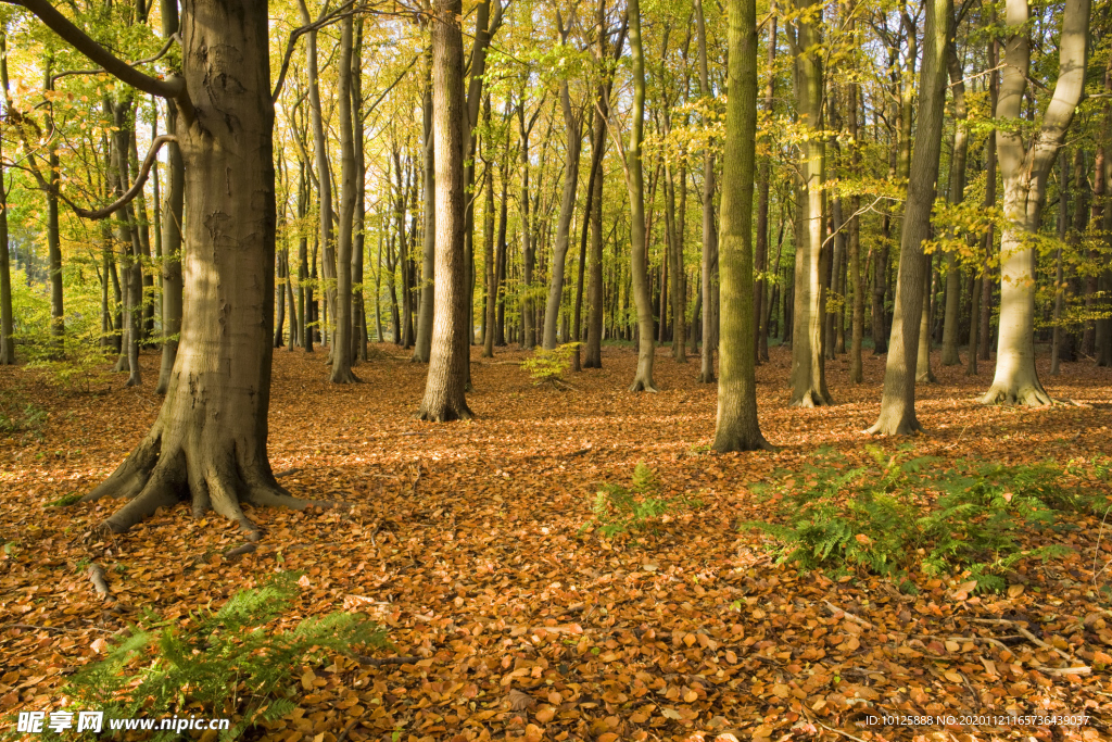 背景 底图 桌面