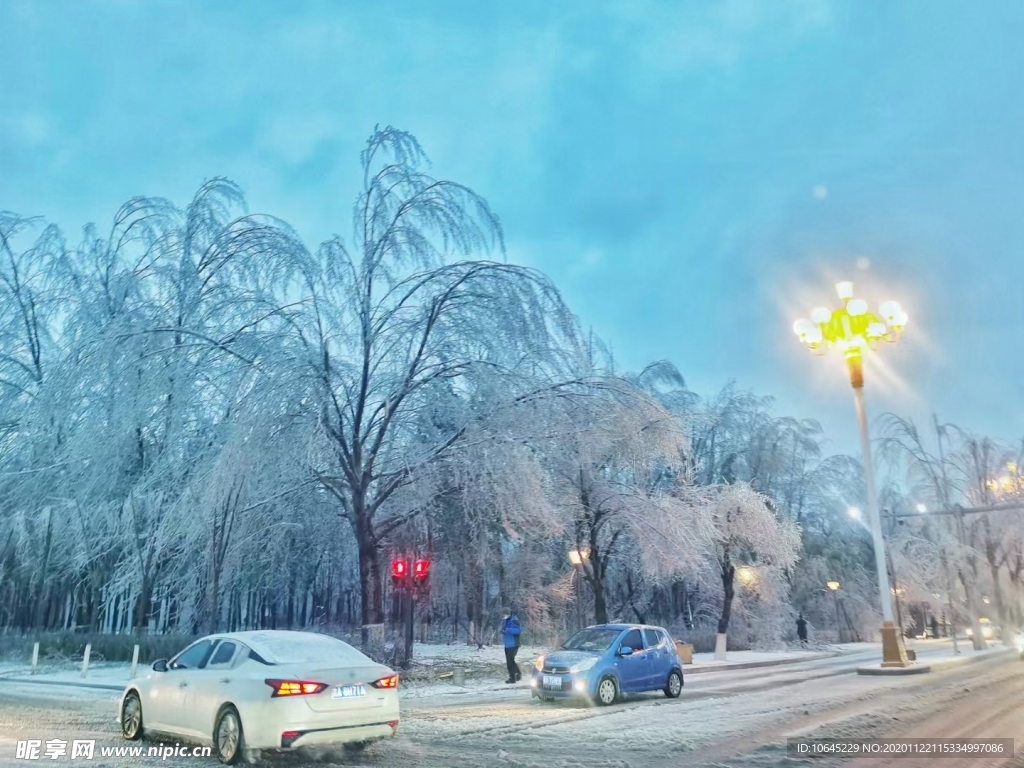 冬天  冰雪 冰树叶  下雪了