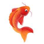 中国风红色锦鲤_元素