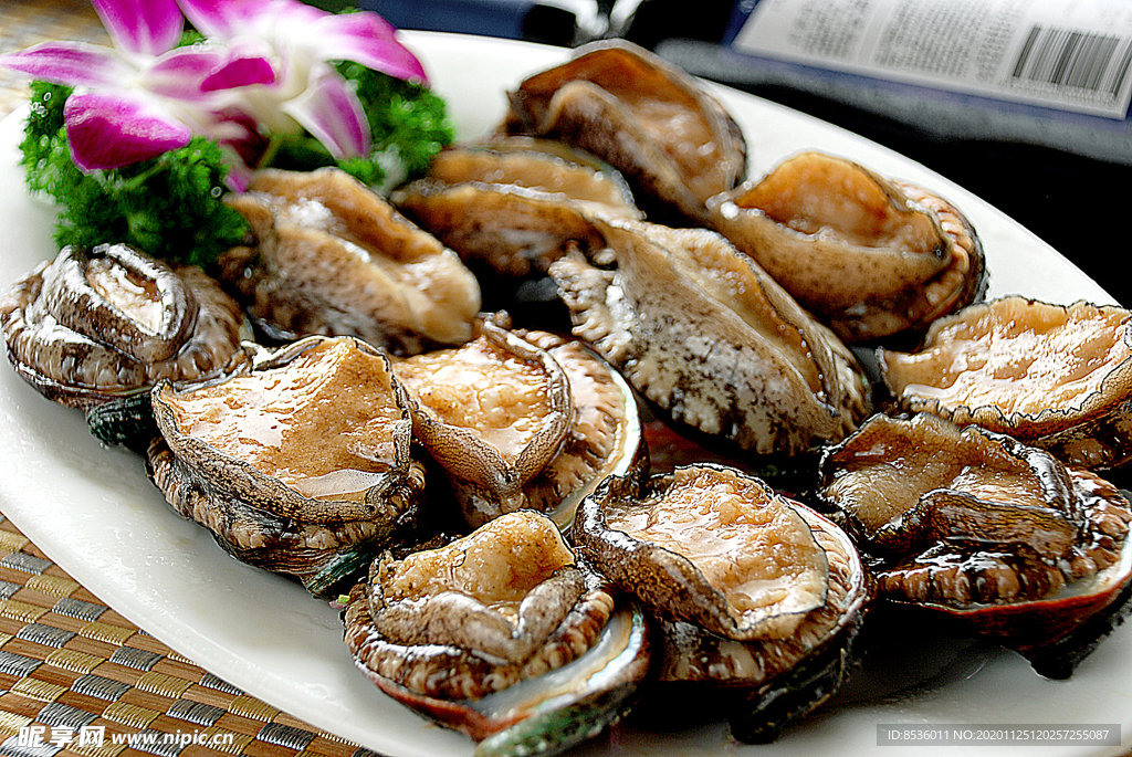 海鲜野生大连活鲍