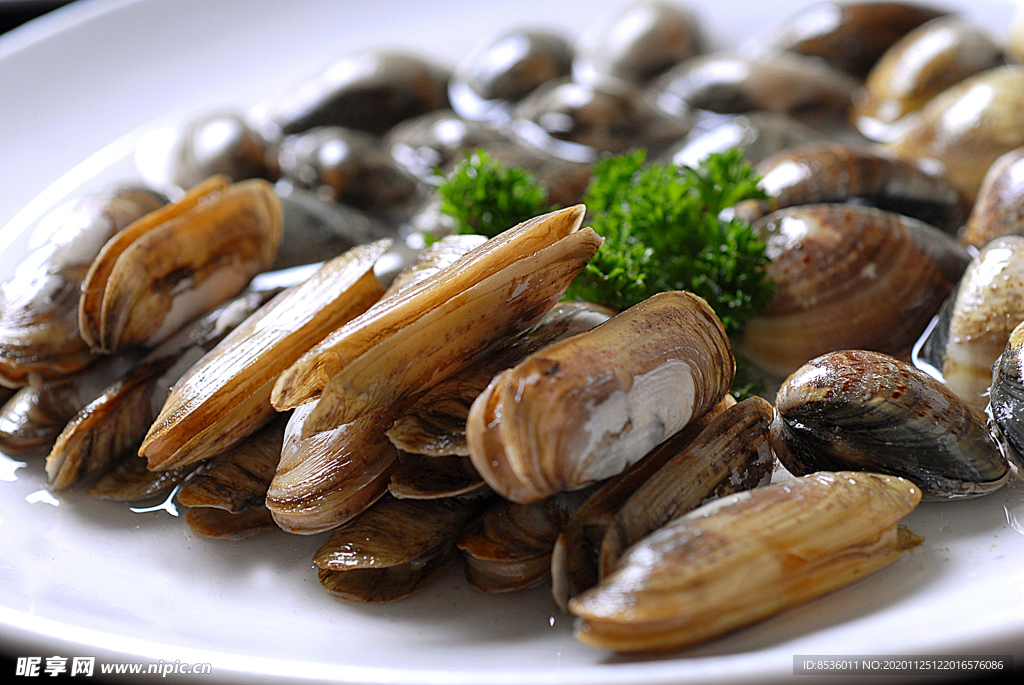 海鲜蛏子文蛤拼