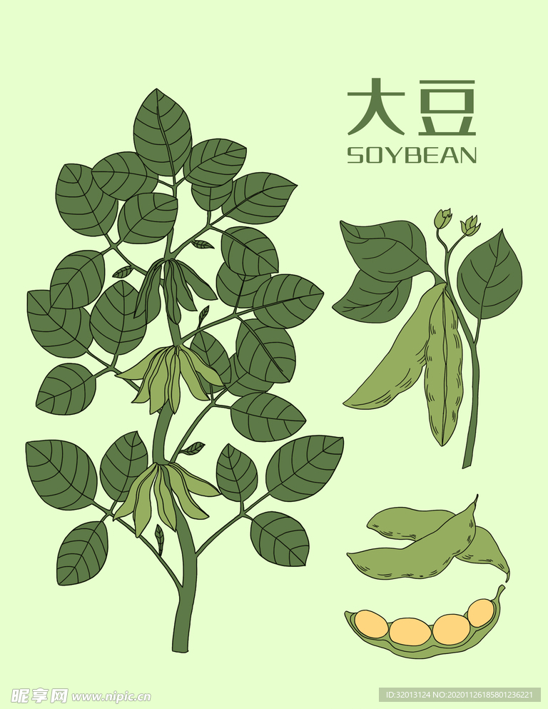 手绘卡通大豆蔬菜漫画