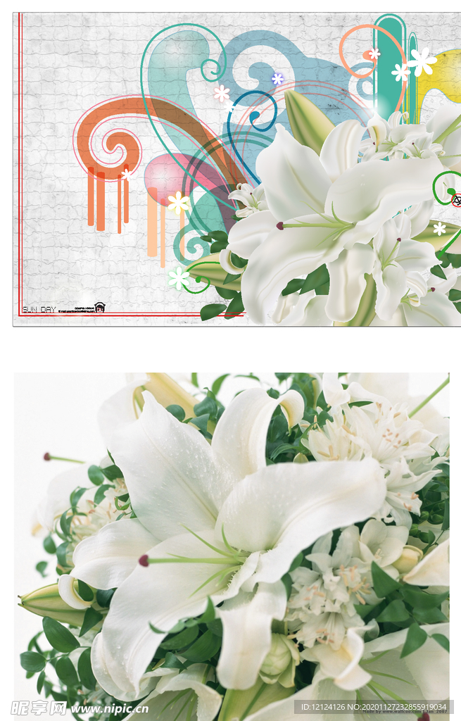 百合 百合花 矢量 教师节 母