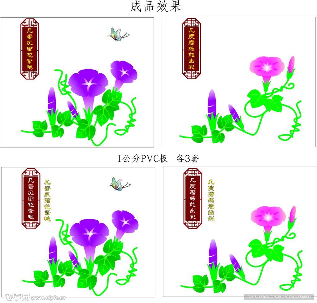 花  蝴蝶   学校