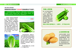 农产品彩页