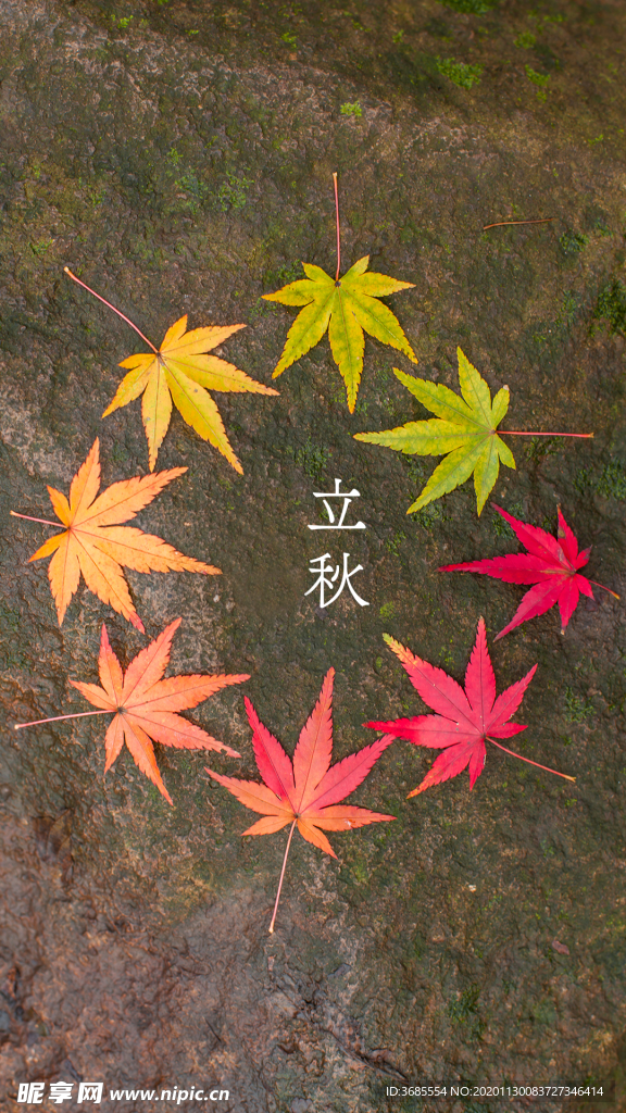 二十四节气 立秋