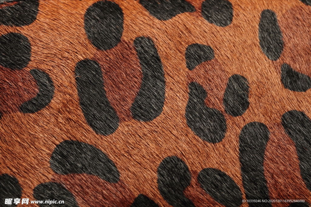豹纹皮质特写