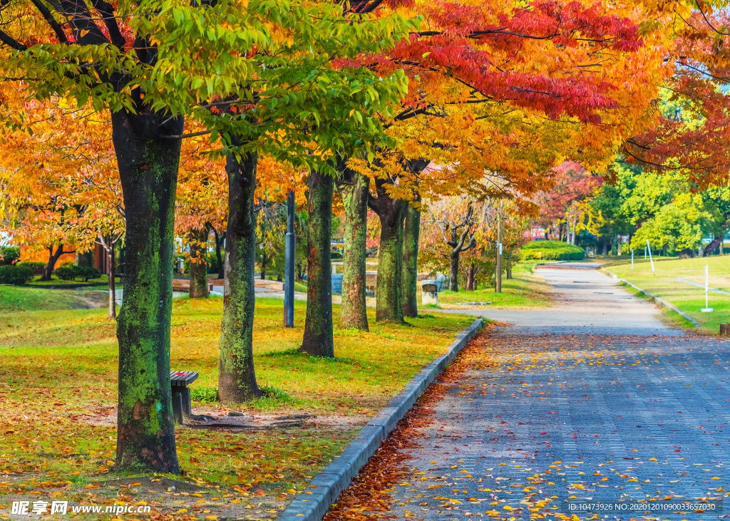 秋日园林风景图片