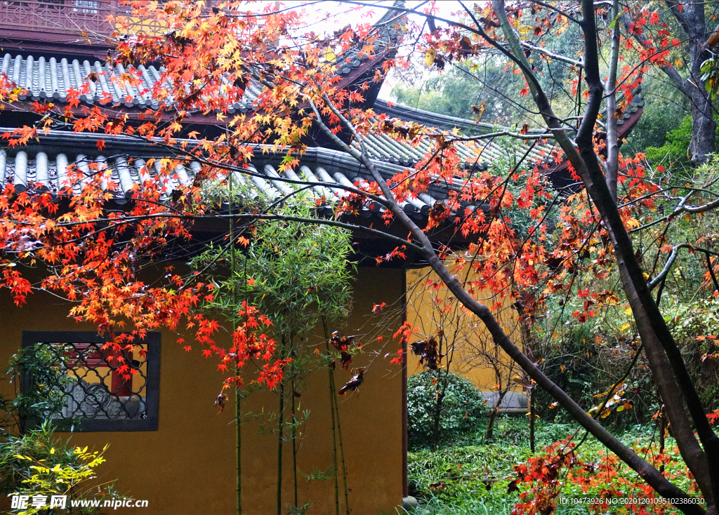 仿古园林建筑图片