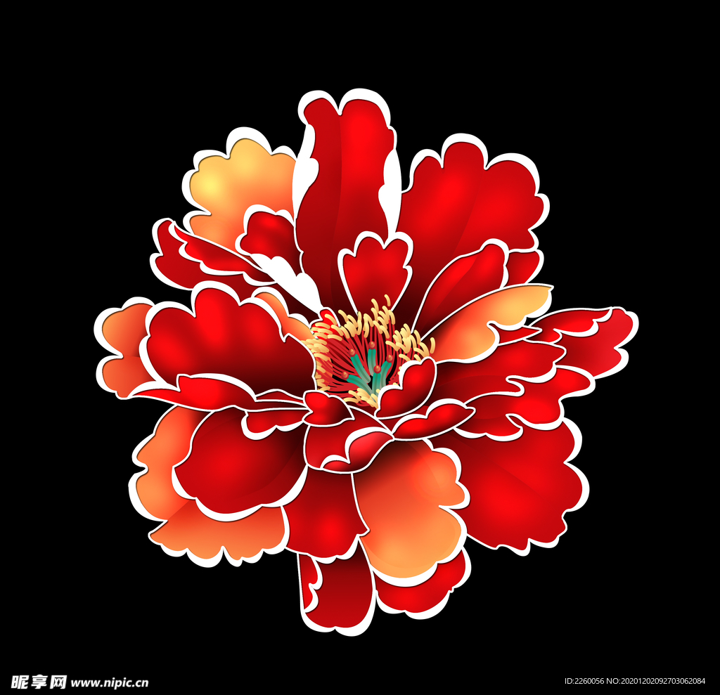 花 牡丹花 花分层 花素材