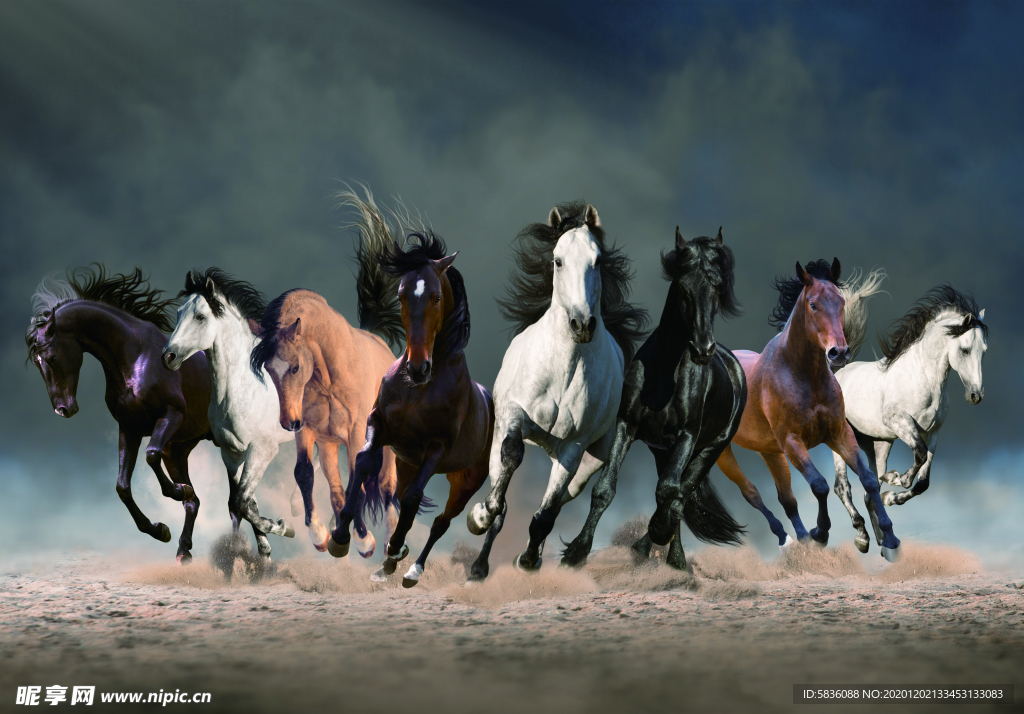 八马壁纸八马奔腾墙画八骏图装饰