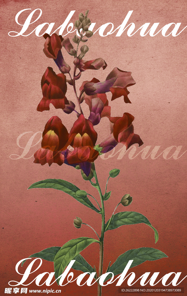 喇叭花手绘素材背景肌理