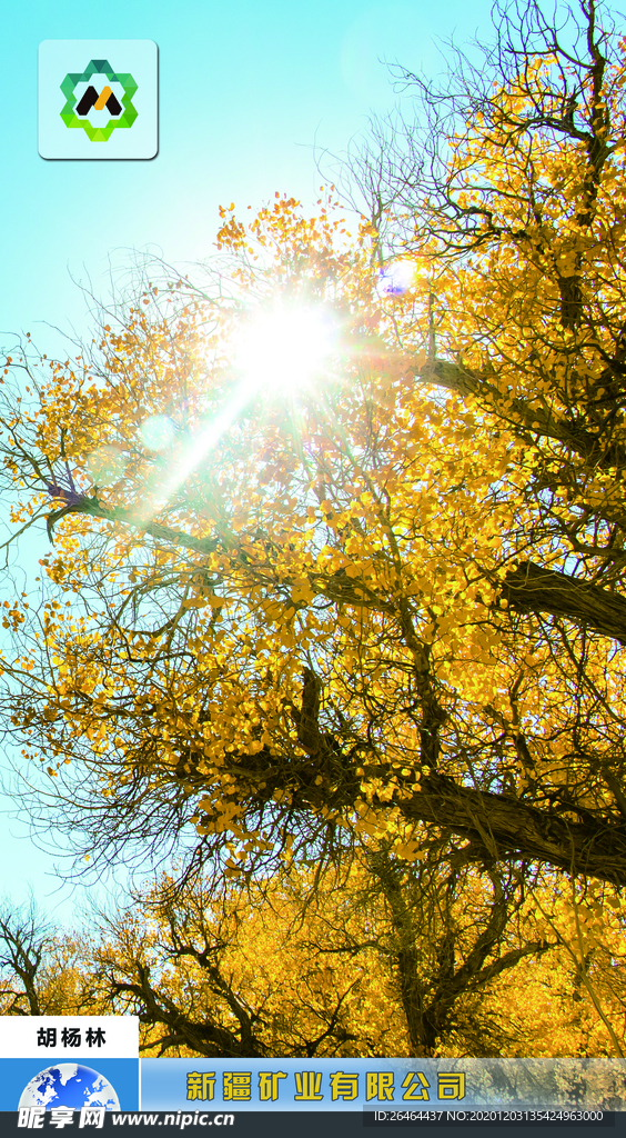风景图简易说明模板