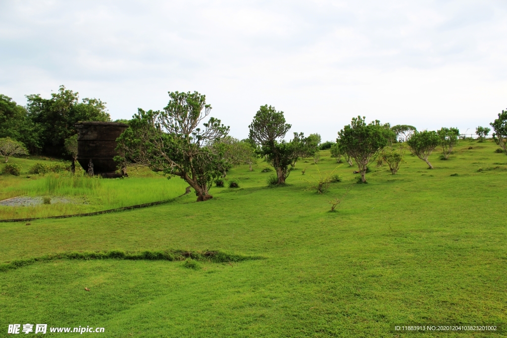 巴厘岛草坪
