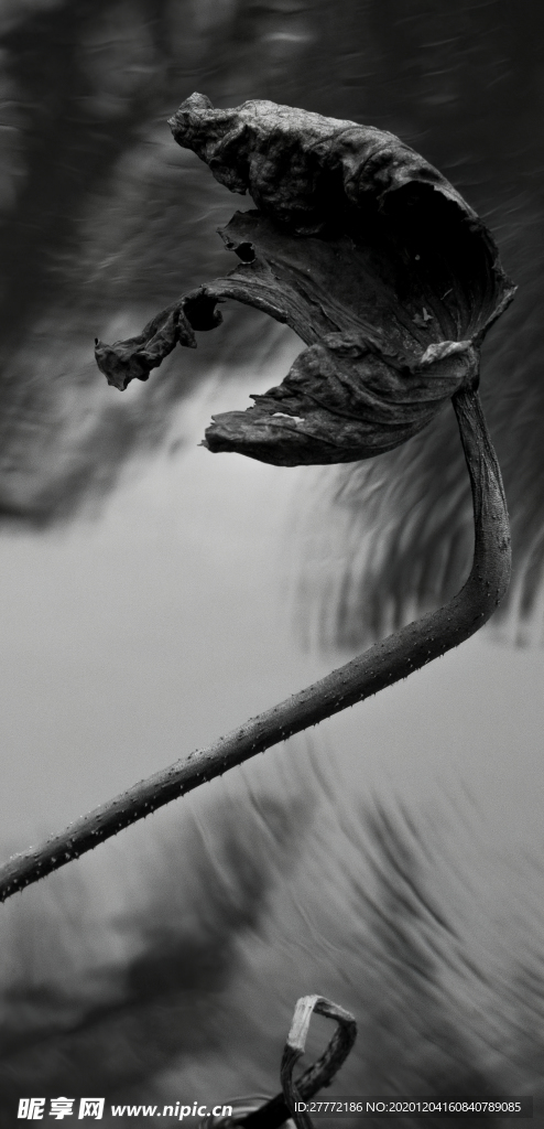 大暑小暑节地产刷屏微信