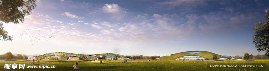 公园花境油菜花田景观效果图