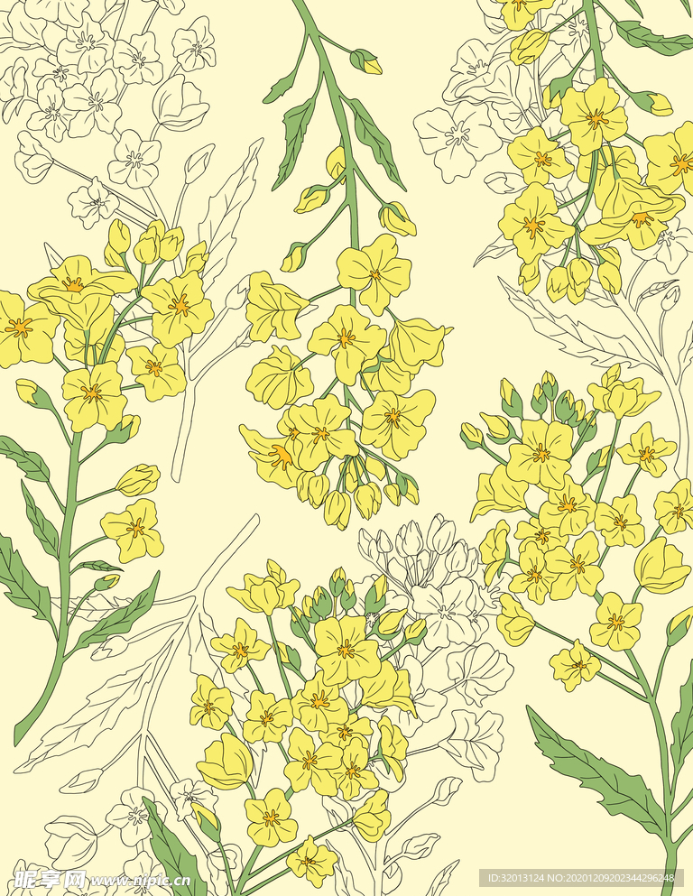 手绘油菜花素材背景海报