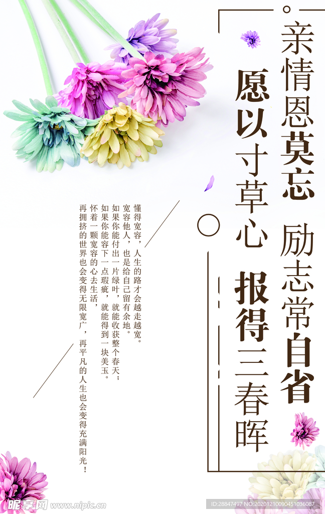 小清新亲情励志海报