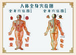 人体穴位图