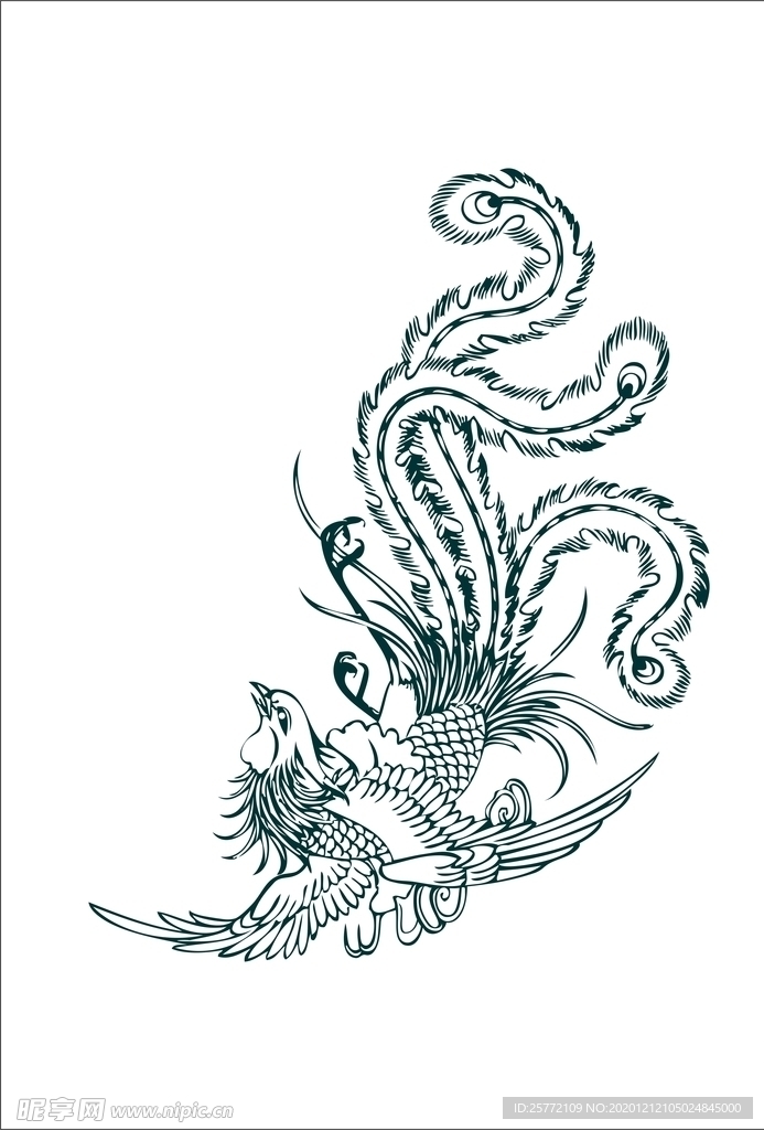 凤凰 鸟 线稿 矢量 矢量图