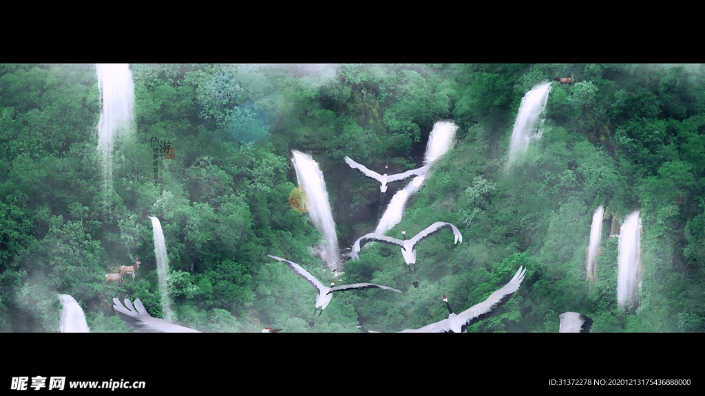 仙鹤海报背景图片