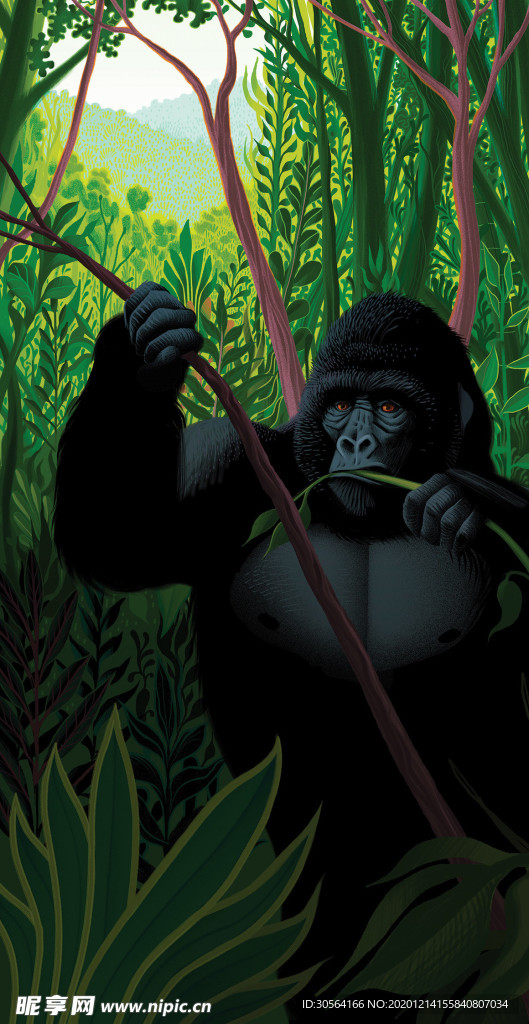 大猩猩动物卡通插画场景背景素材