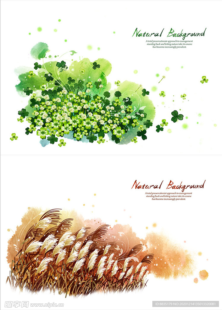 PSD分层抽象 创意花纹素材