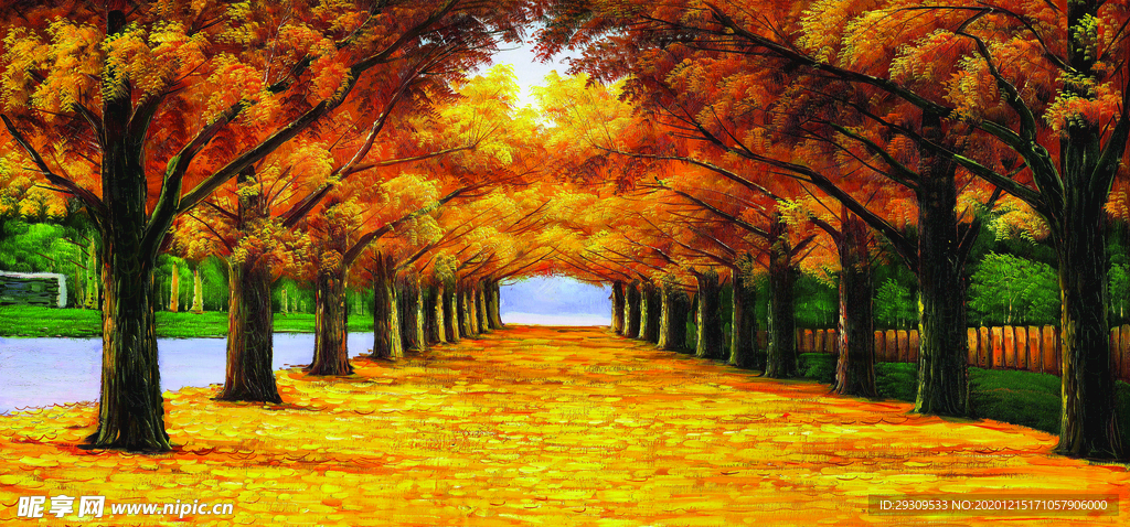 黄金大道枫树林