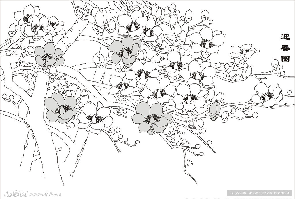 迎春图玉兰背景墙矢量图