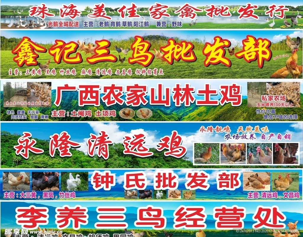 家禽批发门头海报