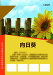 向日葵 海报